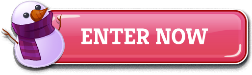 Enter the SECRET SANTA’S FROSTY CHEER SECOND-CHANCE PROMOTION